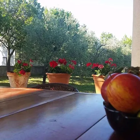 Daire In Starigrad-paklenica 6776