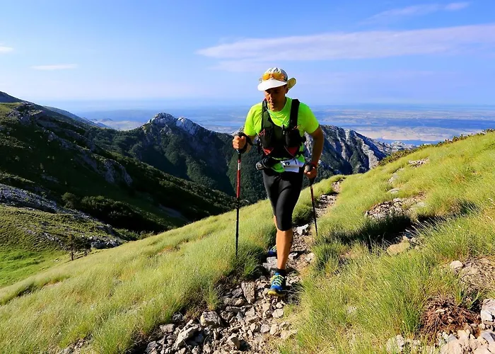 Studio In Starigrad-Paklenica 6776