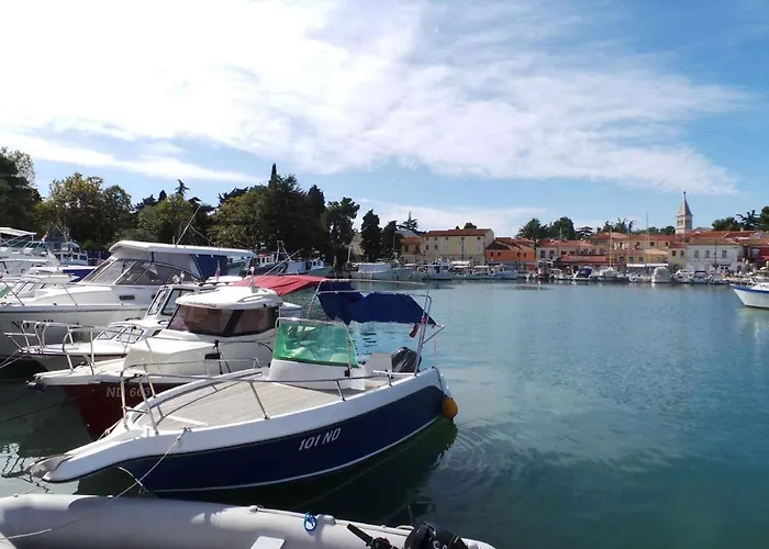 Apartment Studio In Starigrad-Paklenica 6776